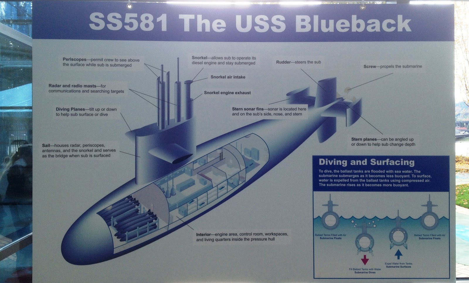 Submarine Exploring My Life