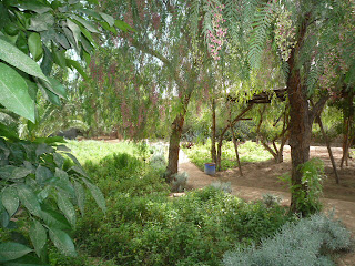 Le potager lors d'un mariage aux Deux Tours à Marrakech