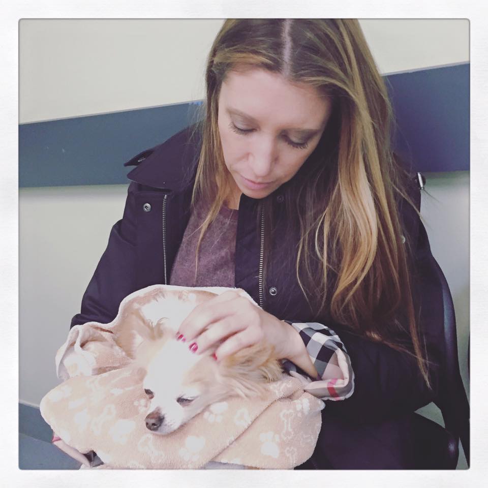 My Year in Review | Erica's Ed-Ventures My Year in Review | Erica's Ed-Ventures