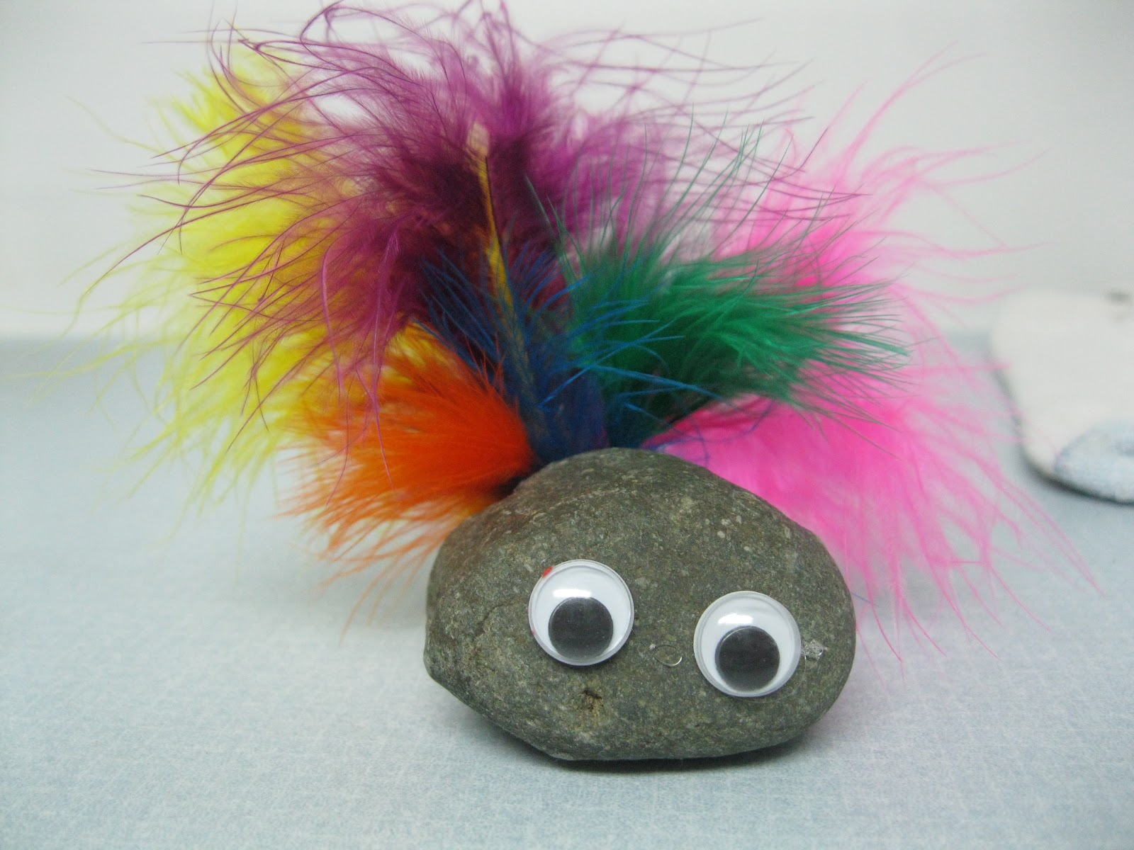 Arts&Crafts PET ROCKS!