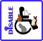 Disable to Help the Disabled