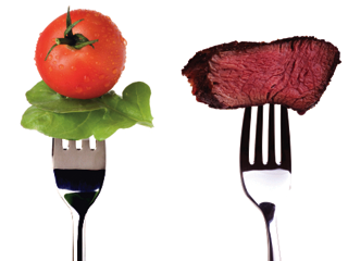 Natural Balance Vegetarian Dog Food Ingredients Natural Balance Vegetarian Dog Food Ingredients