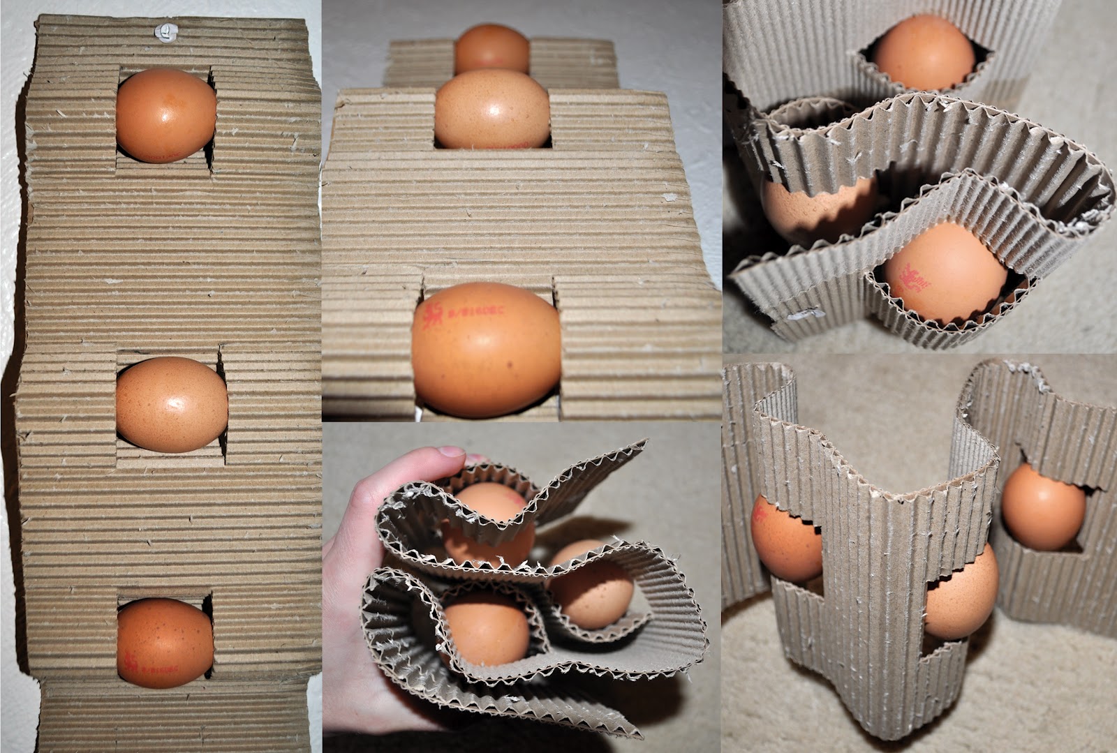 inside packaging How to beat current Egg Packaging?