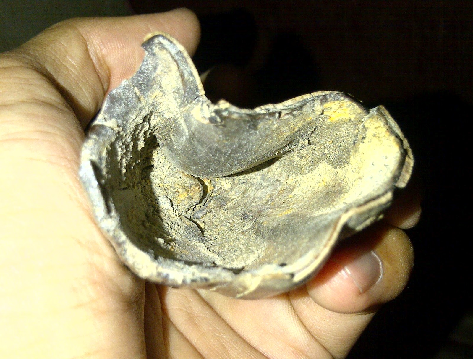 WATU JAGO GEMSTONE CULA BADAK JAWA ASLI