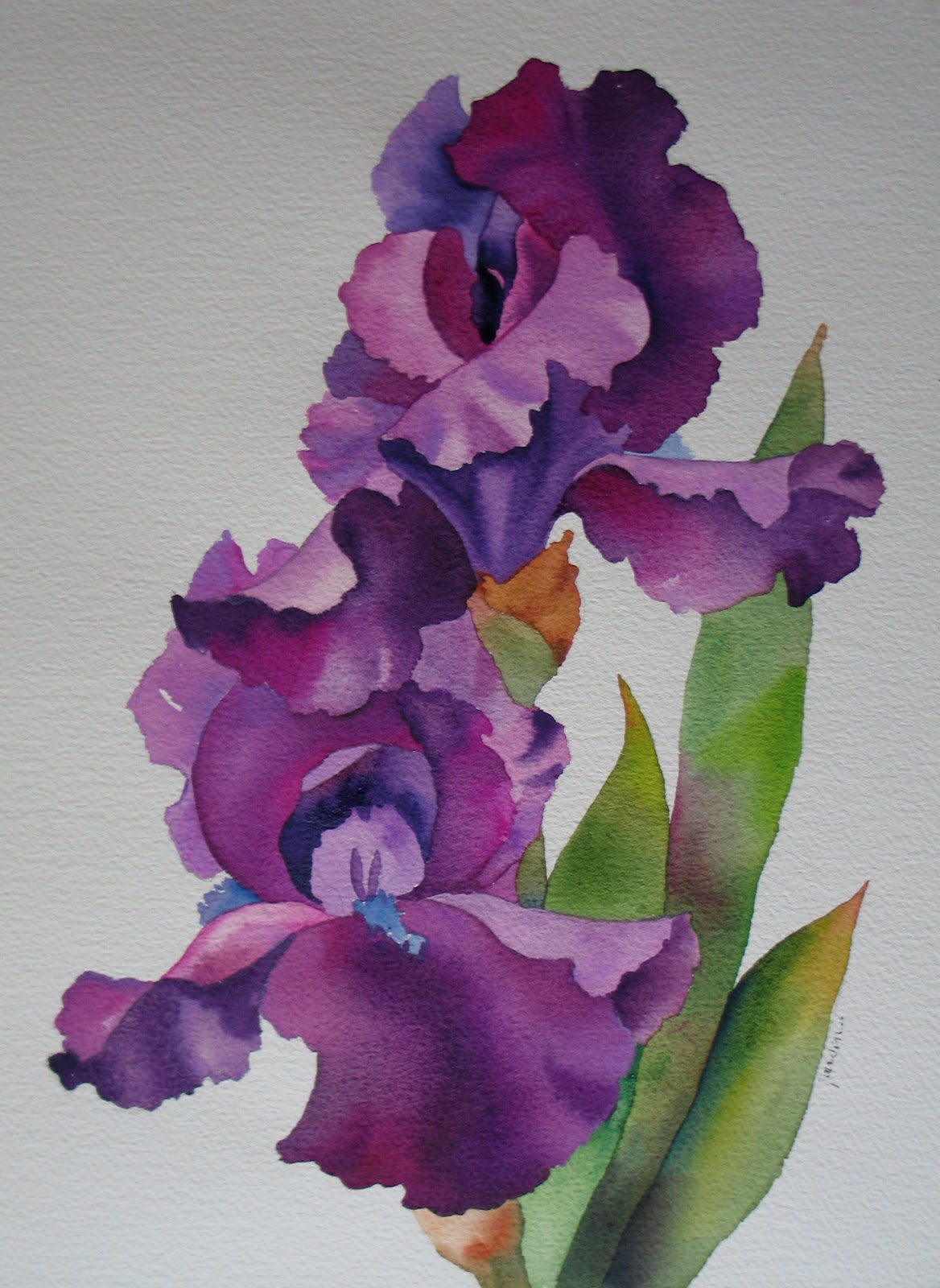 Nel's Everyday Painting Purple Iris Watercolor SOLD