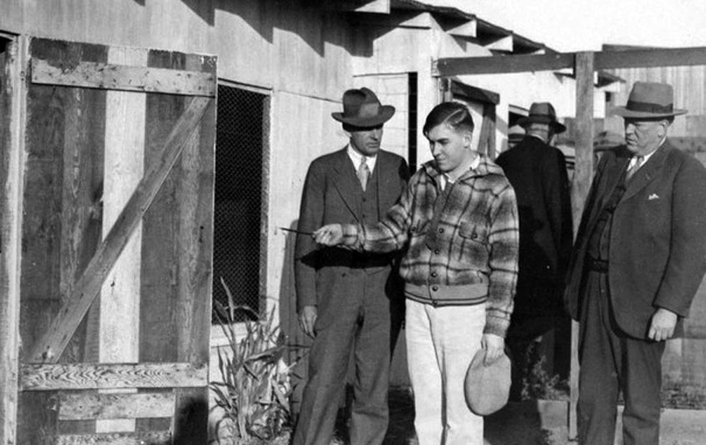 Navegantes de Sirio Mira Loma hoy… ¿Wineville en los 20’s?