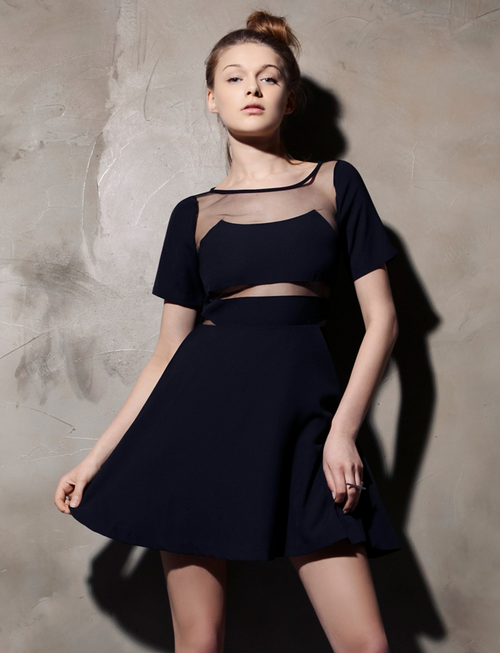 Mesh Insert Pure Beauty Dress