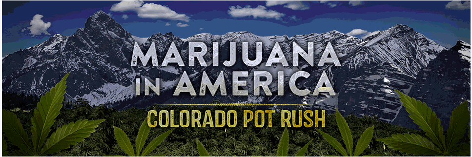 Bix Photo Book - Free download and software reviews - CNET