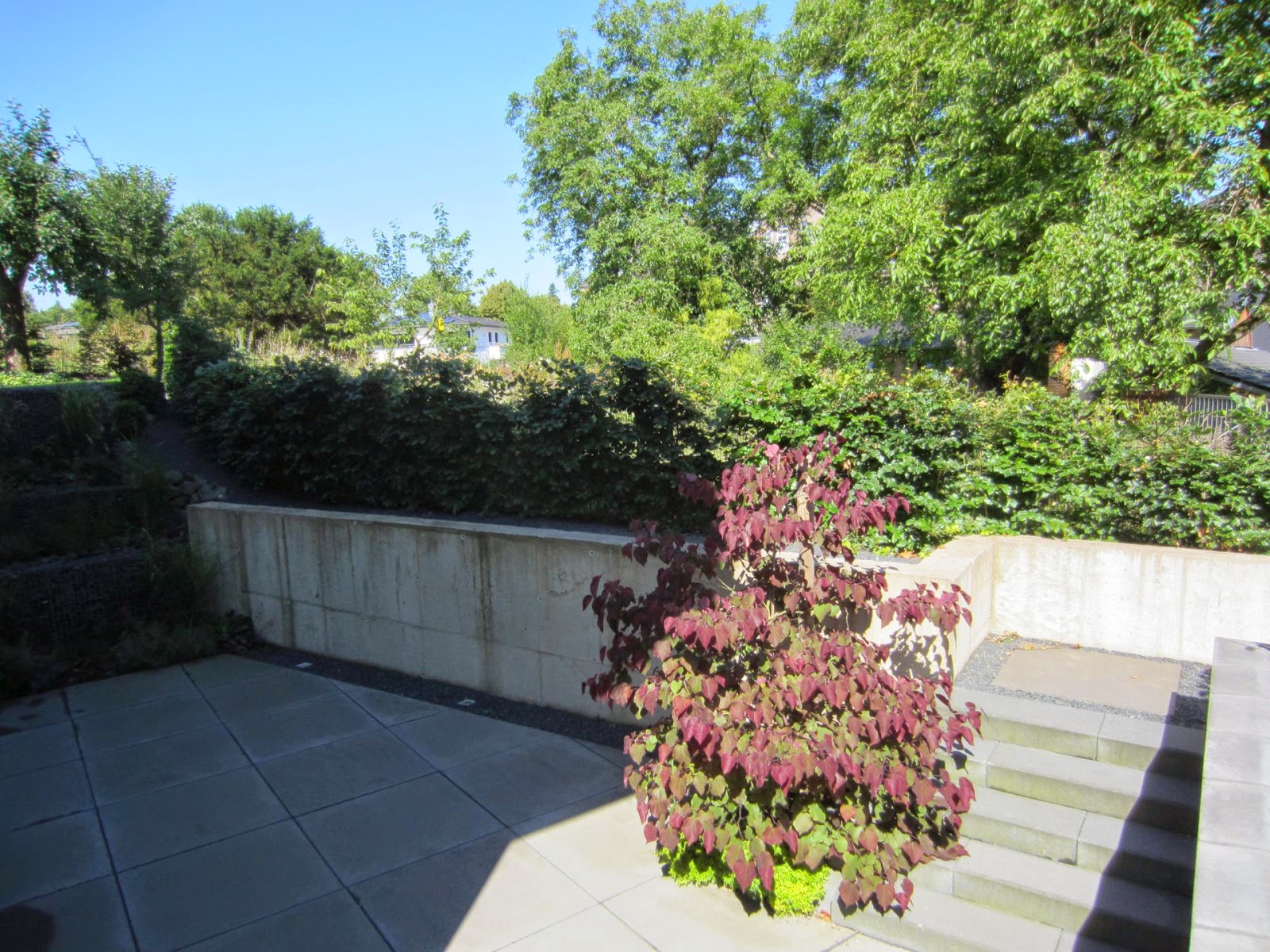 Frobel Metallbau Cortenstahl Patinax Wandverkleidung Treppe Und Garten