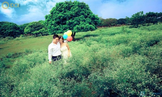 sukiennong.vn vuon nhan vinh tuy 2 photo Những địa điểm chụp ảnh đẹp ở Hà Nội