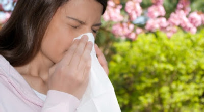 4 nhóm thuốc trị viêm mũi dị ứng bạn cần biết