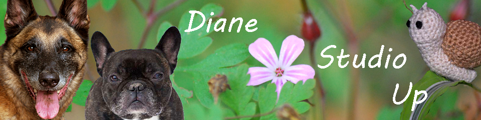 Diane Studio Up