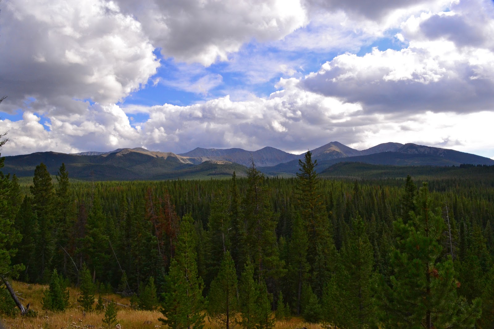 Putah Creek Photo Clyde Park, Montana and Shelter Road National Forest