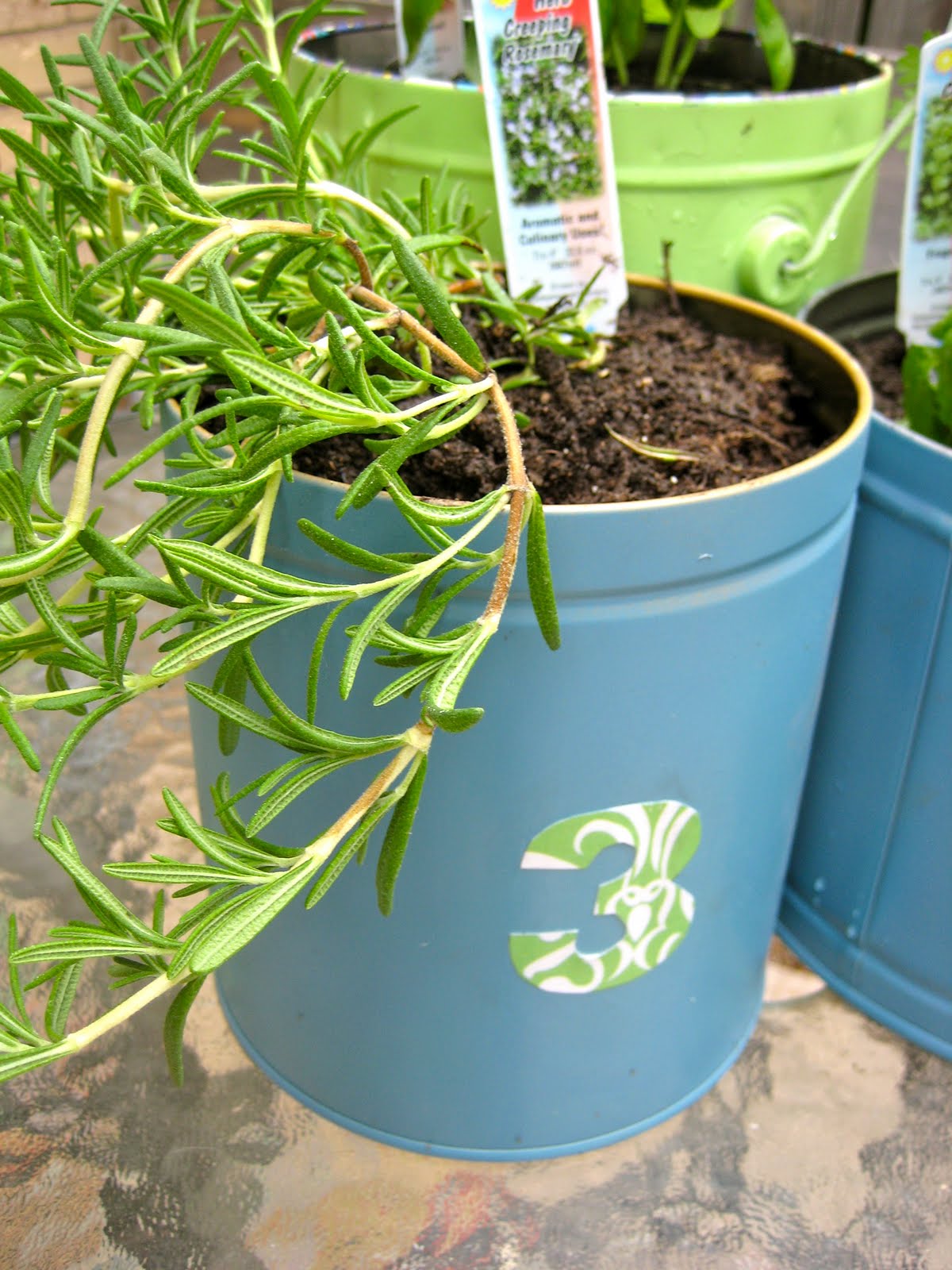 Add some spice with DIY planters