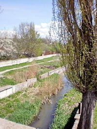 Речка Малый Салгир в Симферополе