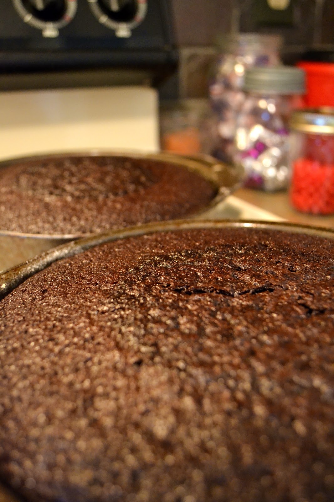 Simple Savory & Satisfying Chocolate on Chocolate Cake