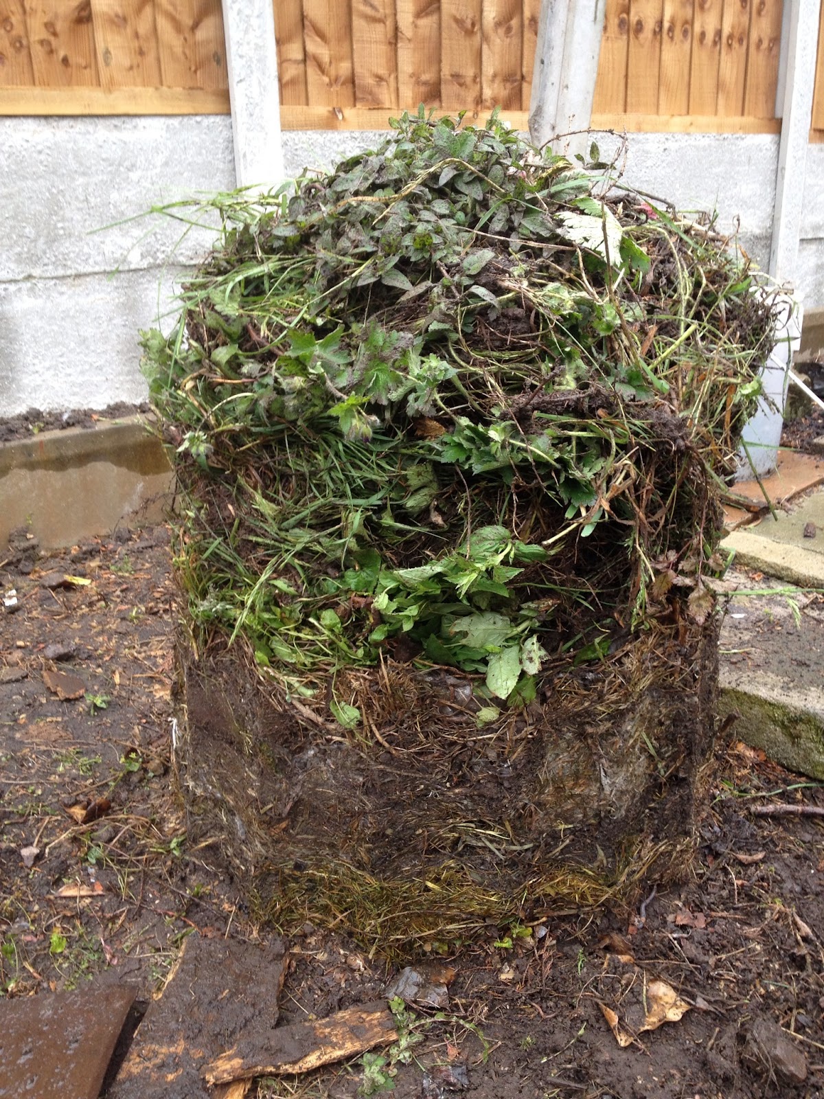 Living the good life: My composting experiment!