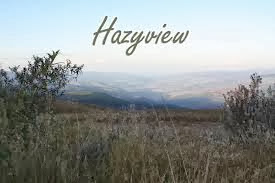 Hazyview - letterlijk heiig uitzicht - is een kleine plattelandsgemeenschap in Mpumalanga en staat bekend vanwege zijn bananenplantages