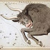 Horoscop Taur februarie 2015