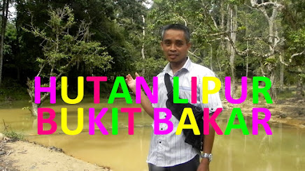 Hutan Lipur Bukit Bakar