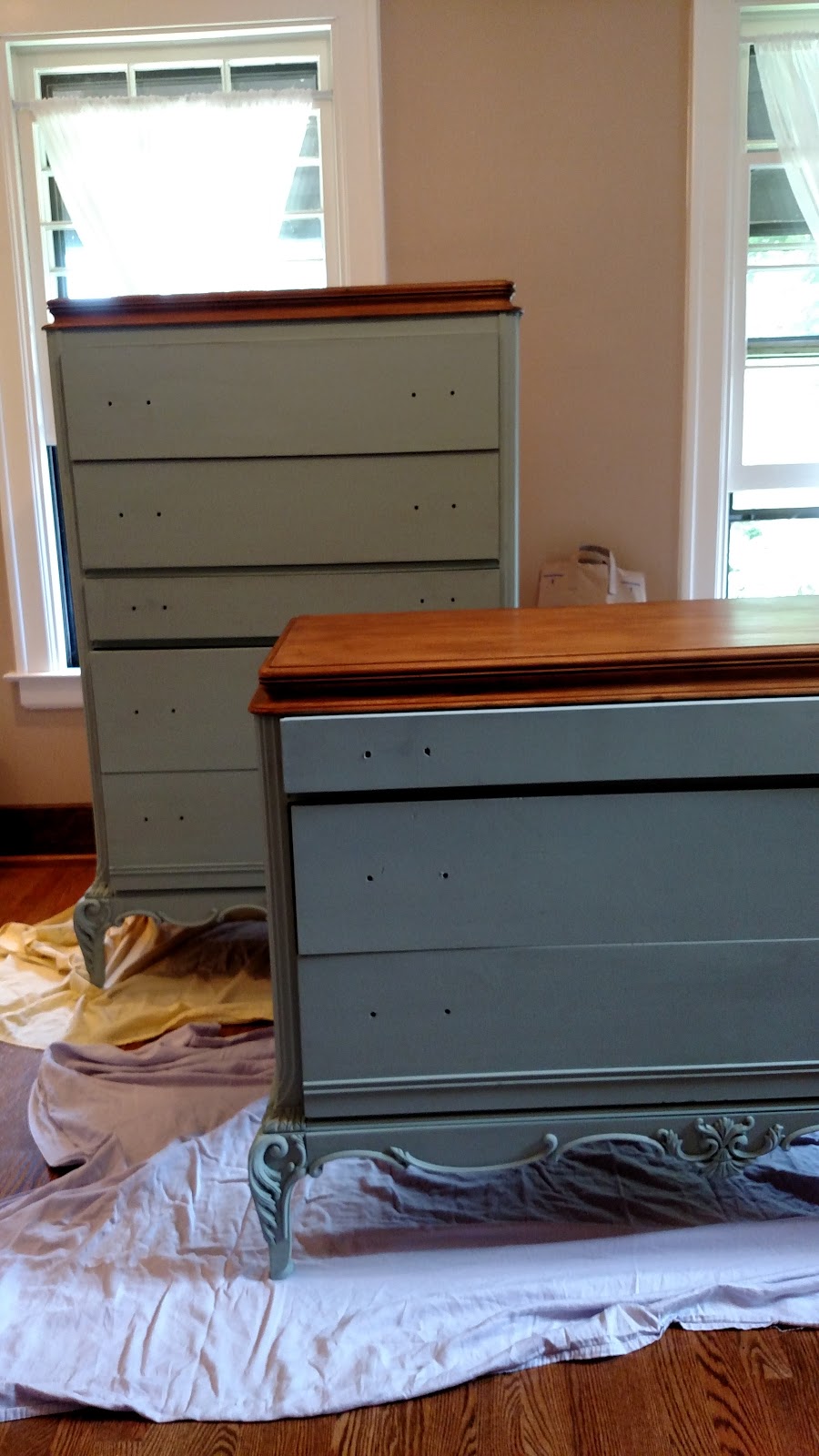 Somewhat Quirky Duck Egg Dressers