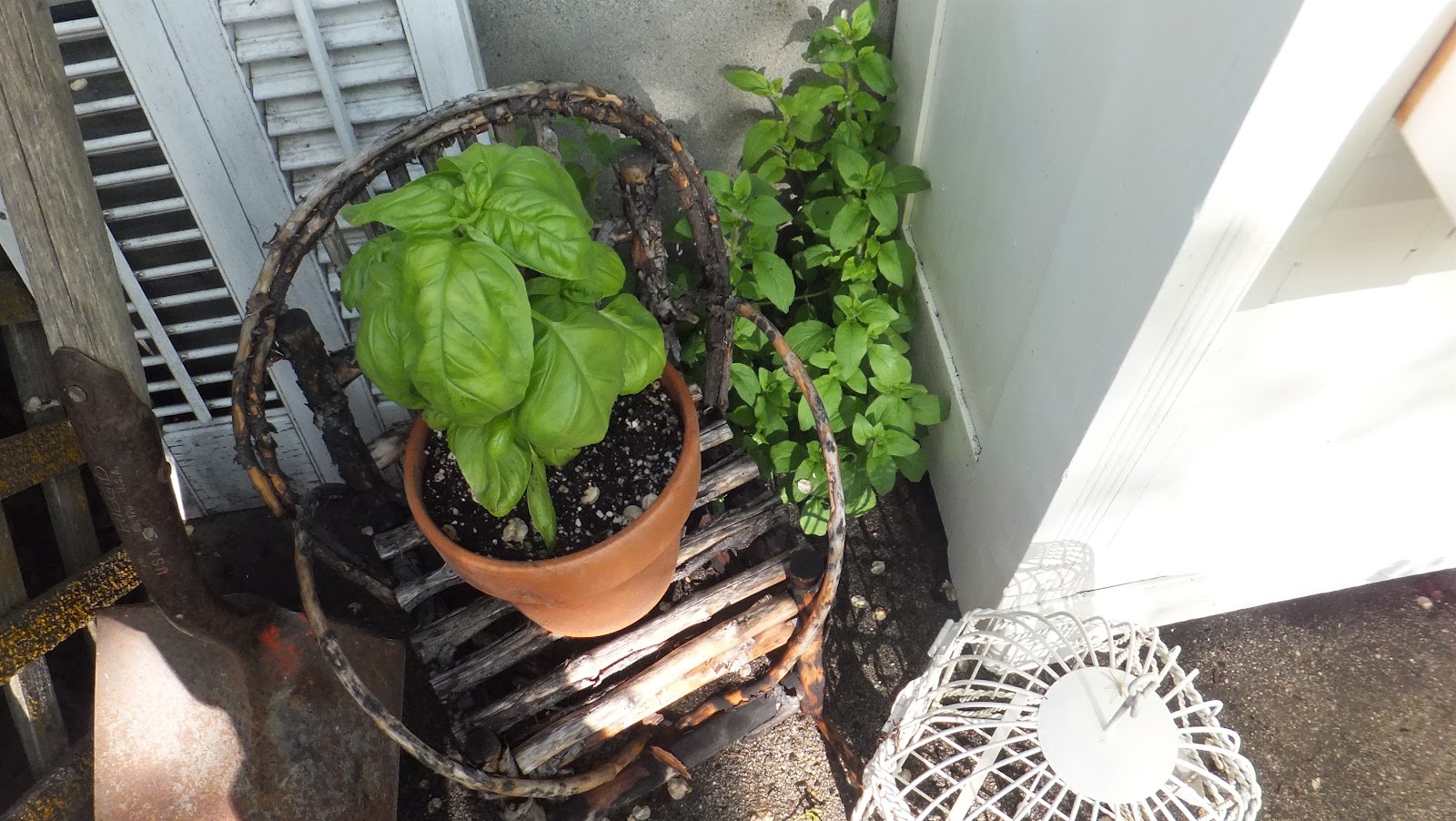 Ash Tree Cottage My Herb Garden Potting Bench
