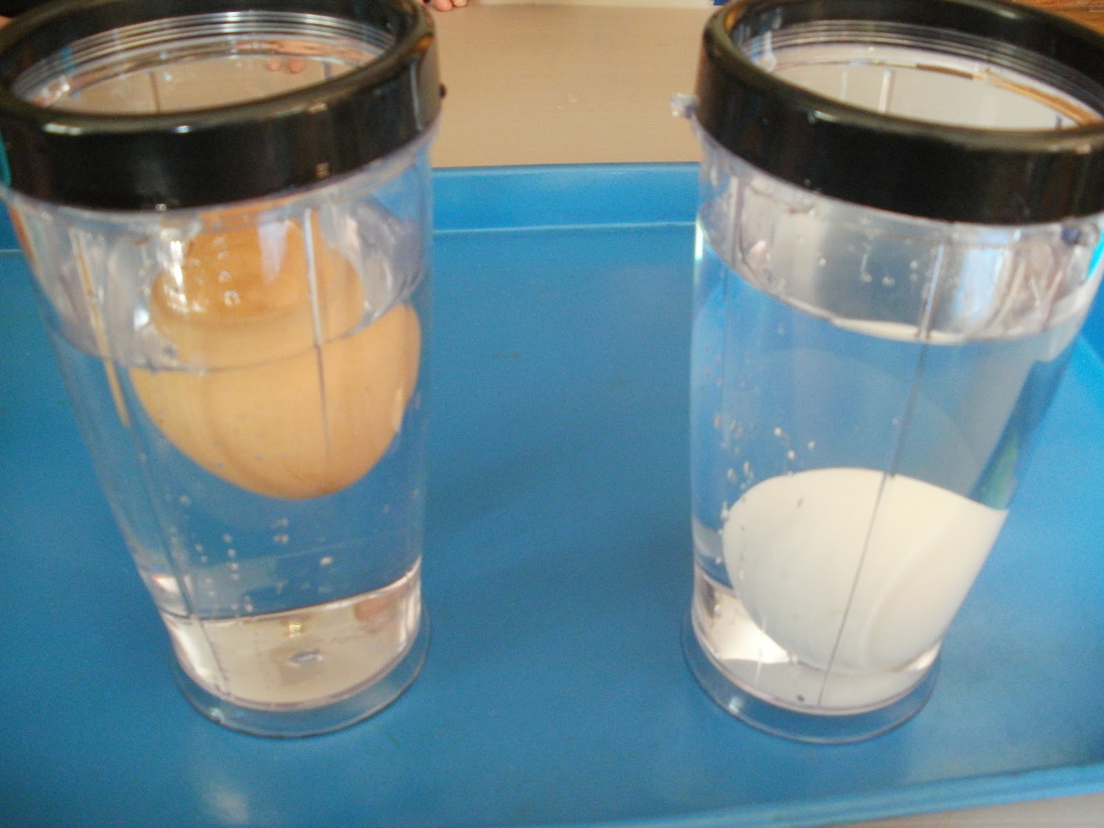 Little Stars Learning: Floating and Sinking Eggs