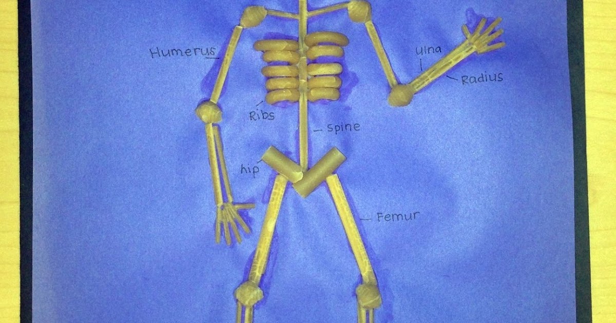 Tangled with Teaching: Hooray for the Humans! Human Body Systems