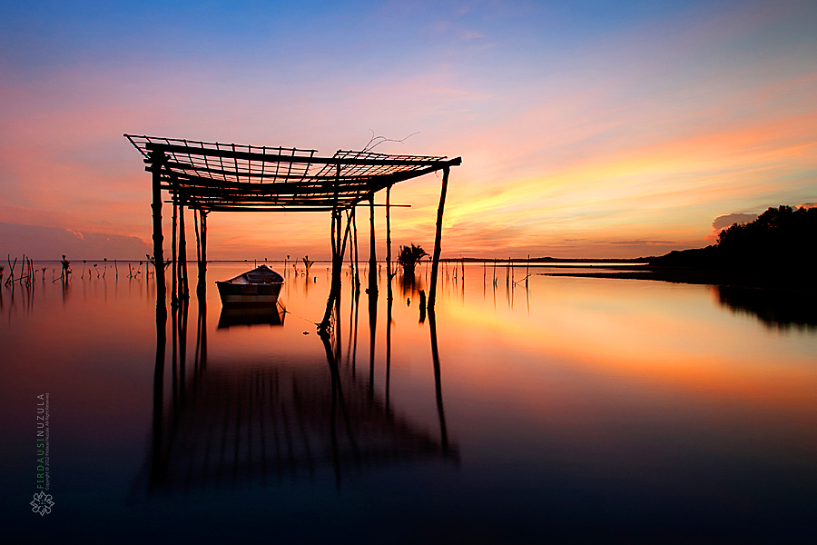 DEATH ON THE CNN CURVE - The New York Times