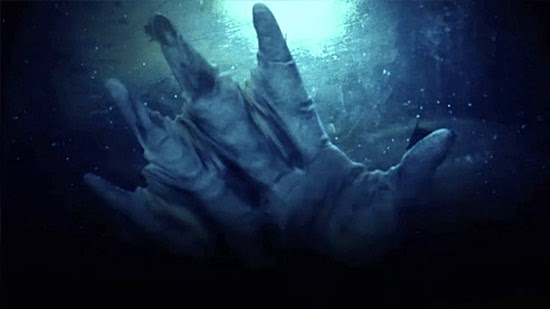 Mermaids arent real: Animal Planets fake documentaries