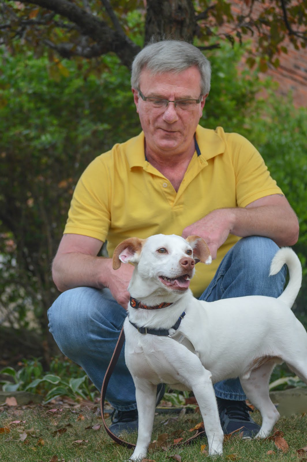 Pets for Vets Pittsburgh Our First Match! Animal Friends, Inc.