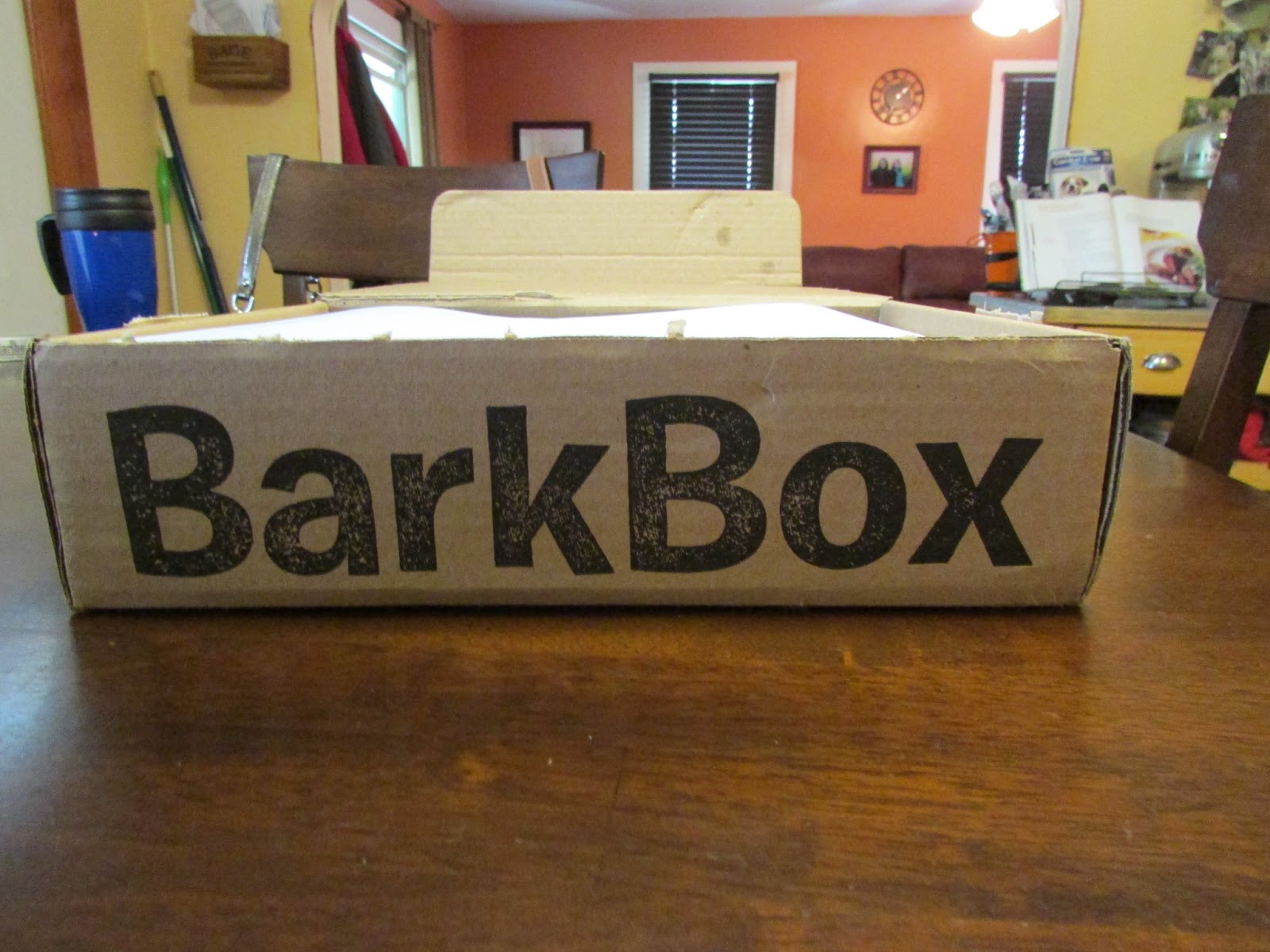 My Rotten Dogs June BarkBox Review