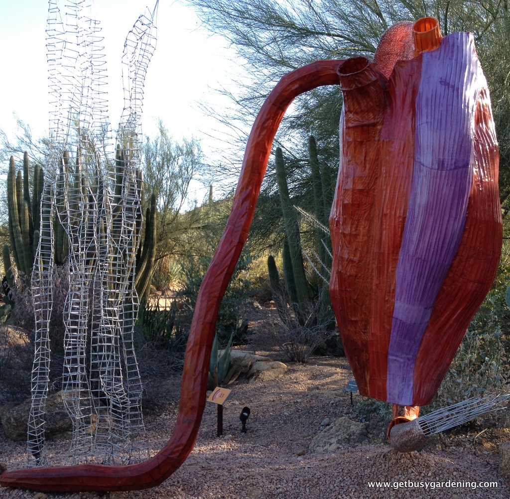 The Art of The Desert Botanical Garden