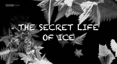 the secret life of ice