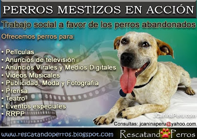 PERROS MESTIZOS EN ACCIÓN