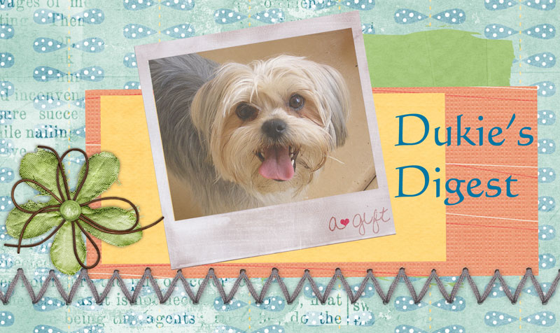 Dukie's Digest