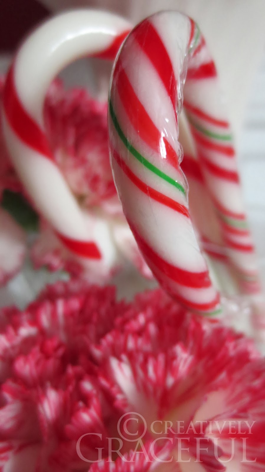 Creatively Graceful Candy Cane Carnations