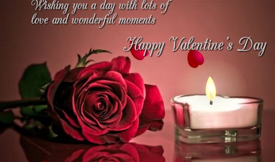 Happy valentine's day! HD Pics Zone: Happy valentine's day roses