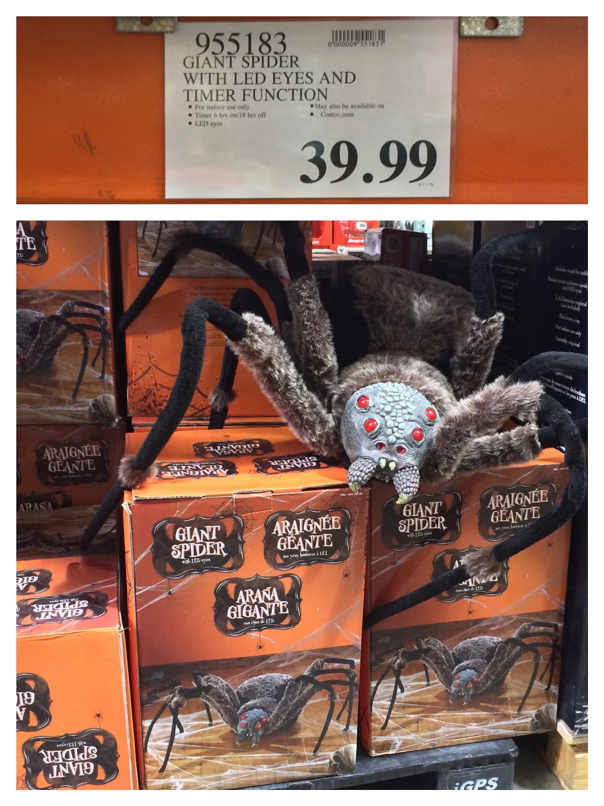 the Costco Connoisseur Halloween at Costco!!!