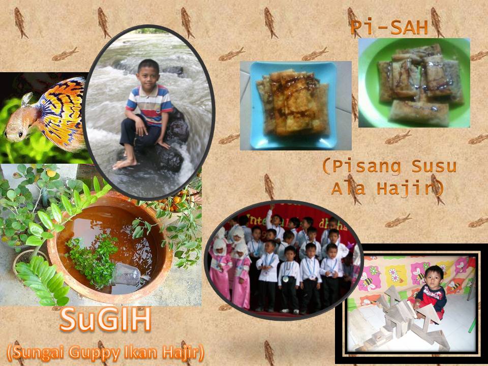 SuGIH_Pi-SAH