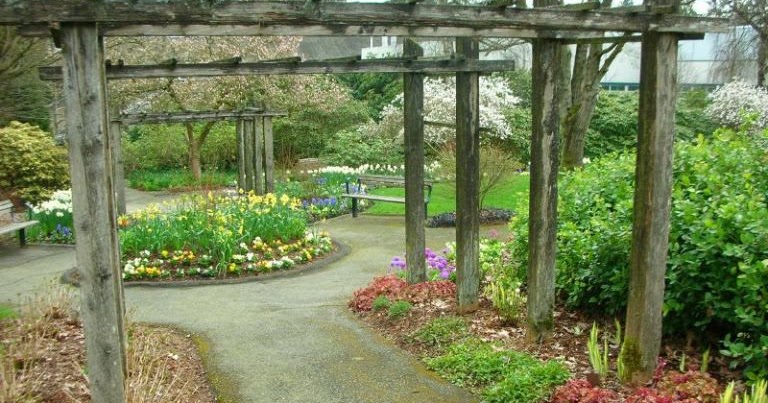 Ewa in the Garden: 12 ideas for garden arch trellis - hand picked