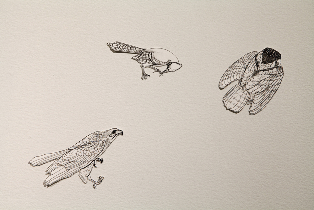 Jillian McDonald, The Thaw