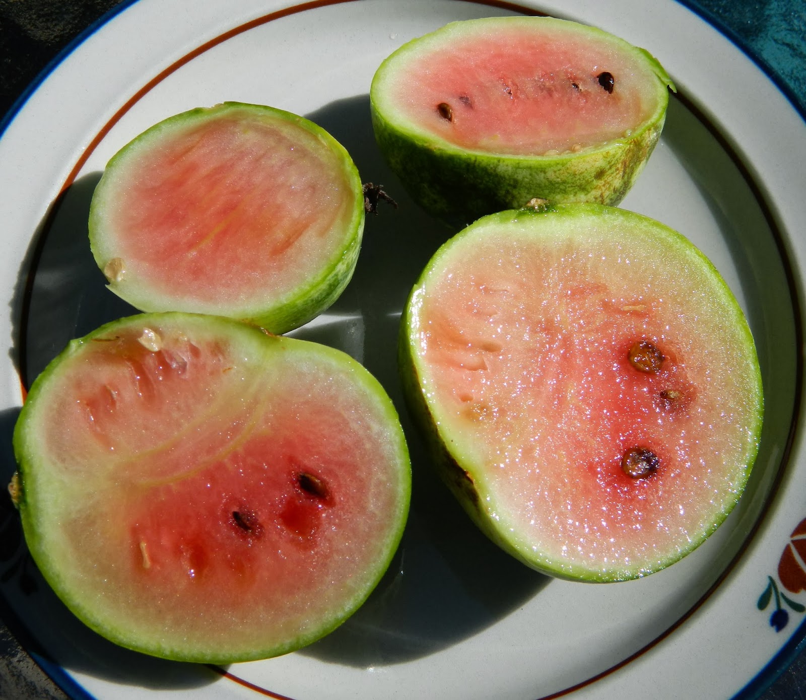 Lise's Log Cabin Life Lise's Cinnamon Applesauce & Watermelon