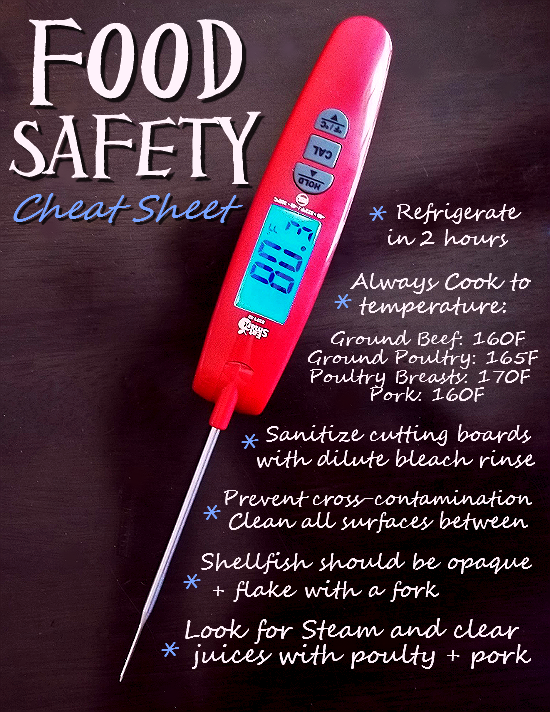 Food Safety Cheat Sheet: Use a Digital Thermometer Like EATSmart's Precision Elite Thermocouple Food Thermometer To Monitor Cooking Temperatures