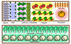 The Gardener's Spot: Free Garden Planner Subscription!