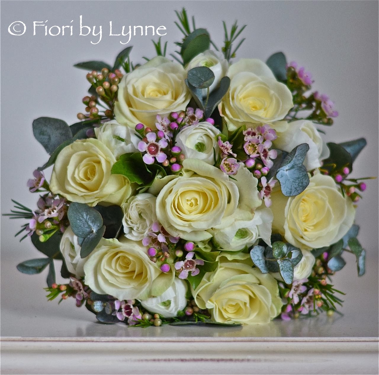 My Beautiful Picutre Album February 2011