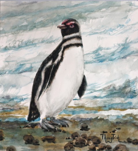 Wonderful Antarctic Sea Bird Painting, Watercolor on paper 10"x12", Original Fine Art for Sale USD $150