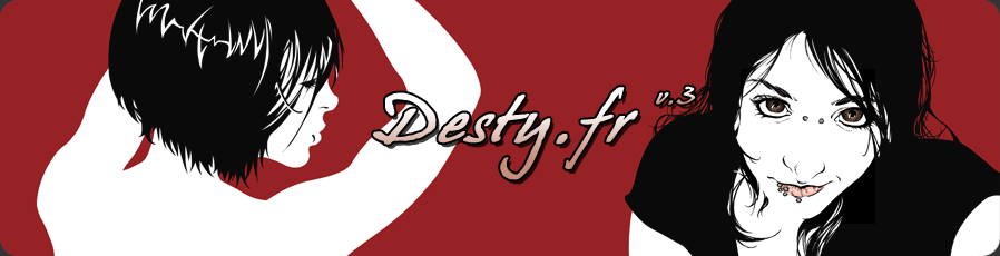 Le blog du Desty
