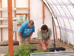 UPDATE ON GIFT OF STARTED VEGGIE PLANTS TO SAMARITAN CENTER