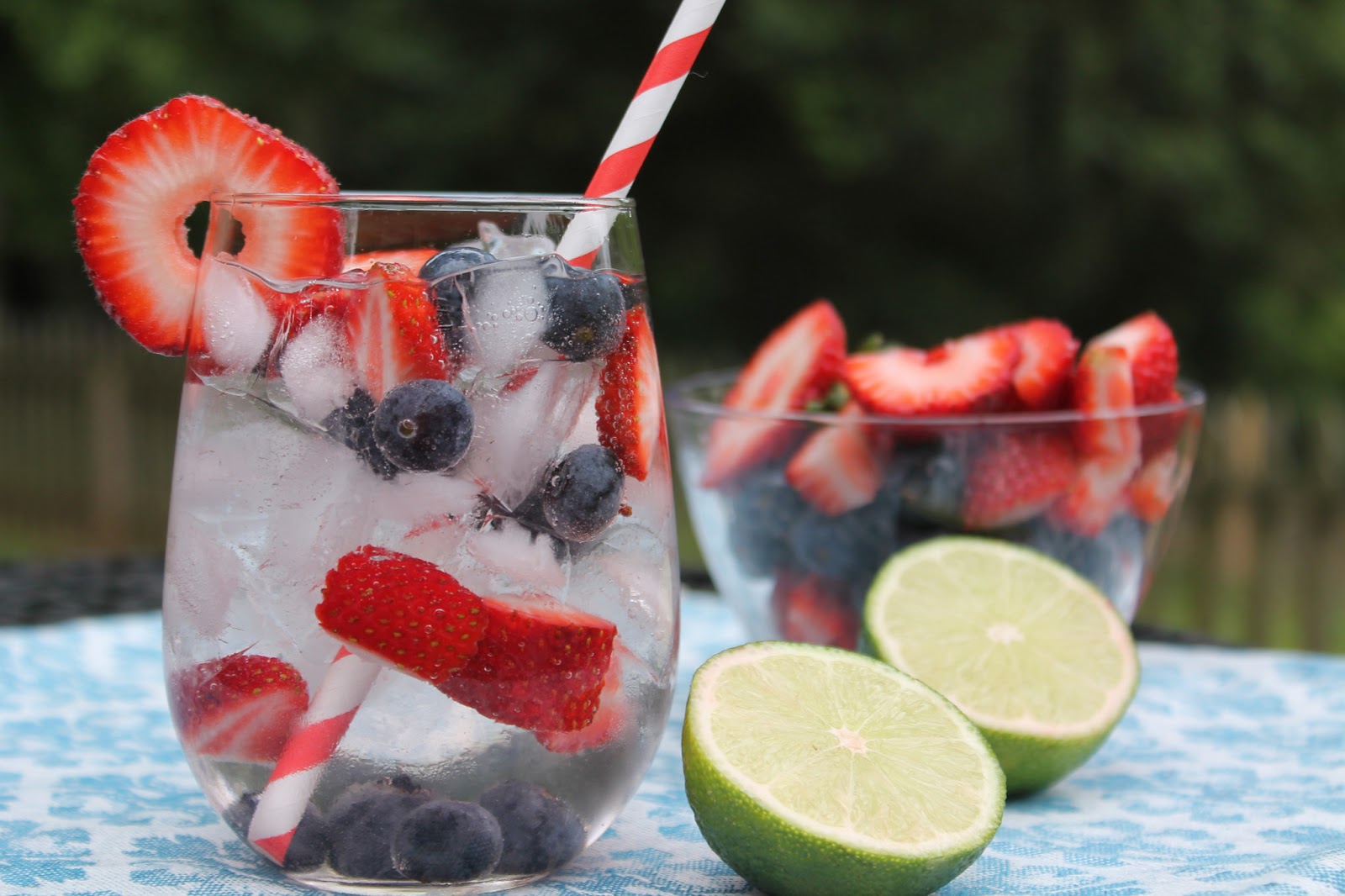 Very Berry Vodka Spritzer Carolina Charm